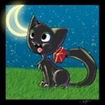pic for black kitty